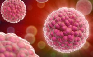 Žmogaus papilomos viruso simptomai ir gydymas